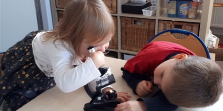 Powiększ grafikę: Zajęcia z mikroskopem w Pracowni Małych Odkrywców