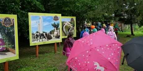 Powiększ grafikę: fotorelacja-drugi-turnus-polkolonii-zasilani-zdrowa-energia-634584.jpg