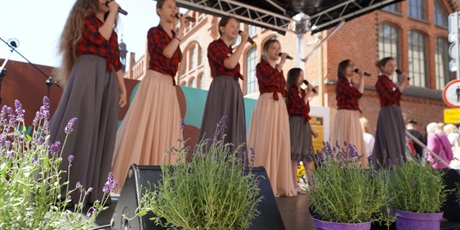 Powiększ grafikę: fotorelacja-z-udzialu-palacu-mlodziezy-w-swiecie-ulicy-lawendowej-626339.jpg