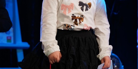 Powiększ grafikę: gala-13-gdanskiego-konkursu-plastycznego-zimowe-zabawy-675074.jpg