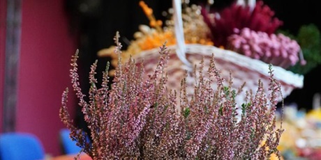 Powiększ grafikę: przyklej-sie-do-lasu-warsztaty-rodzinne-w-palacu-mlodziezy-650284.jpg