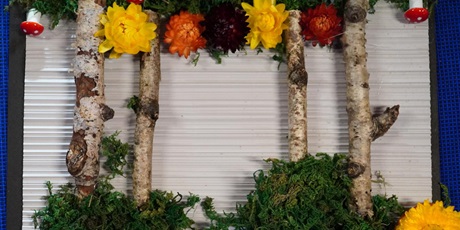 Powiększ grafikę: przyklej-sie-do-lasu-warsztaty-rodzinne-w-palacu-mlodziezy-650331.jpg