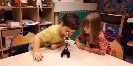 Zajęcia z mikroskopem w Pracowni Małych Odkrywców