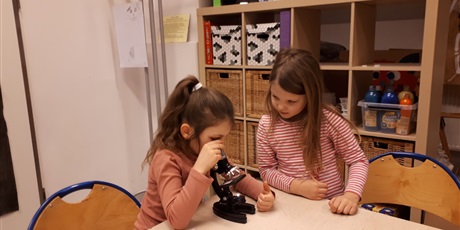 Powiększ grafikę: Zajęcia z mikroskopem w Pracowni Małych Odkrywców